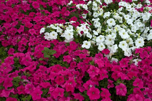 GALBE : spécialiste des menuiseries extérieures sur mesure en Île-de-France